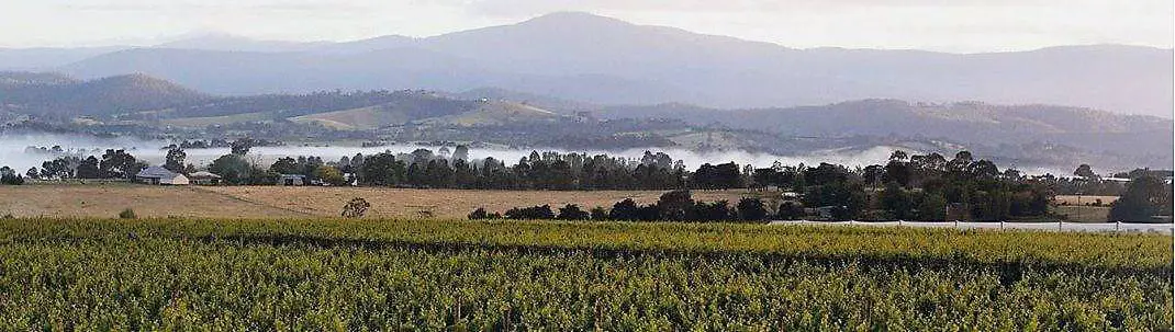 Punt Road Wines Cellar Door Address Yarra Valley Vic